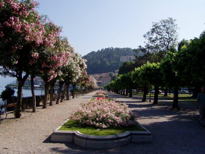 B&B Sosta Sul Lago Lezzeno Exterior photo